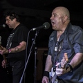 Click to enlarge GutterPunk - Professional Concert Photography